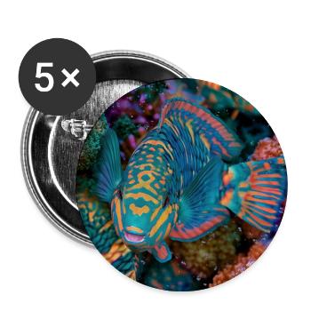 Meeresregenbogenpapageienfisch - Buttons groß 56 mm (5er Pack) - Weiß - Vorne