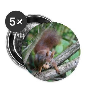 Eichhörnchen am Ast mit Nuss - Buttons groß 56 mm (5er Pack) - Weiß - Vorne