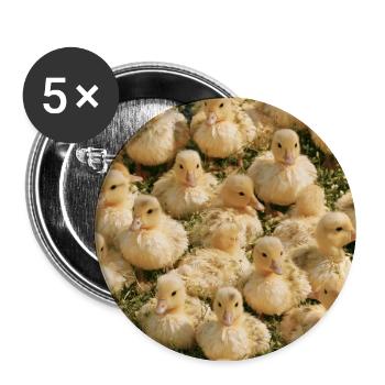 Gelbe Entenküken auf Gras - Buttons groß 56 mm (5er Pack) - Weiß - Vorne