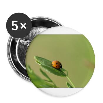 Coccinelle Coléoptère May Beetle - Lot de 5 grands badges (56 mm) - blanc - Devant