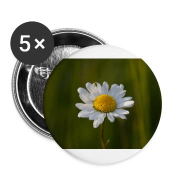 Daisies Marguerite Daisies - Buttons large 2.2''/56 mm (5-pack) - white - Front