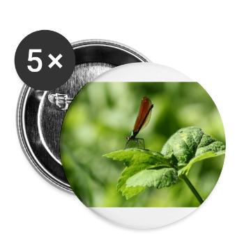 Weiblicher Calopteryx im Frühling - Buttons groß 56 mm (5er Pack) - Weiß - Vorne
