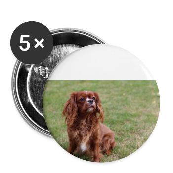 cavalier king charles spaniel sitting - Buttons large 2.2''/56 mm (5-pack) - white - Front