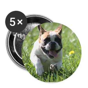 Go Bully Go französische Bulldogge - Buttons groß 56 mm (5er Pack) - Weiß - Vorne