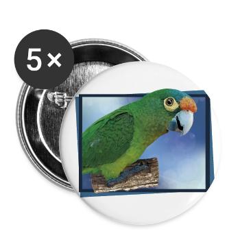 Orange-fronted parakeet - Buttons large 2.2''/56 mm (5-pack) - white - Front