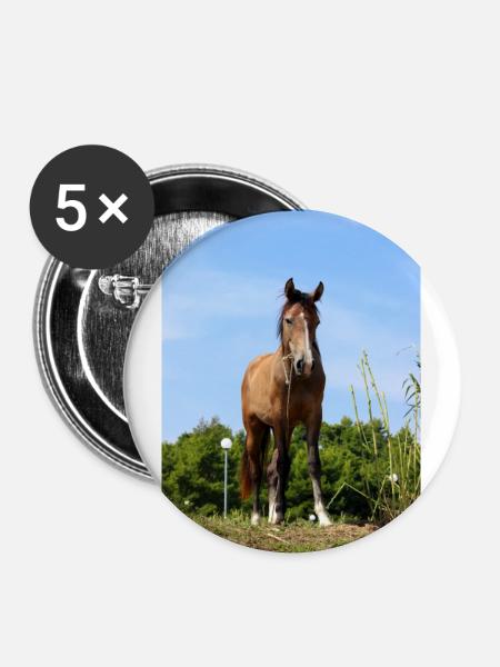 Pferd - Buttons groß 56 mm (5er Pack) - Weiß