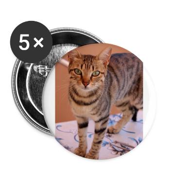 chat, chaton - Lot de 5 grands badges (56 mm) - blanc - Devant