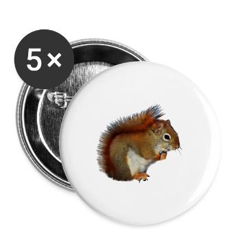 Eichorn squirrel nuts forest photo gift - Buttons large 2.2''/56 mm (5-pack) - white - Front