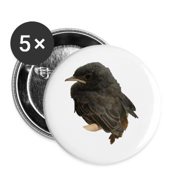 Hausrotschwänzchen Ästling - Buttons groß 56 mm (5er Pack) - Weiß - Vorne