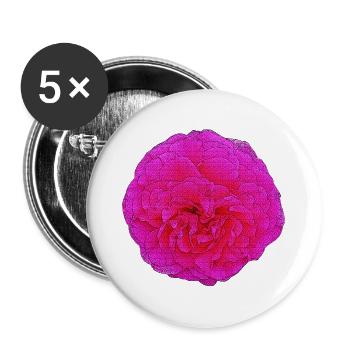 gefüllte rose, schöne blumen, rosatönte - Buttons groß 56 mm (5er Pack) - Weiß - Vorne