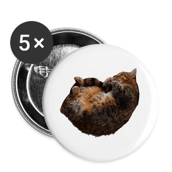entspannte Katze, tabby motive - Buttons groß 56 mm (5er Pack) - Weiß - Vorne