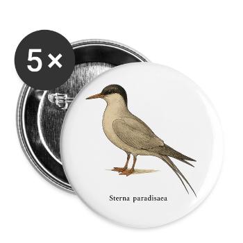 Arctic Tern – Ornithological Illustration - Buttons large 2.2''/56 mm (5-pack) - white - Front