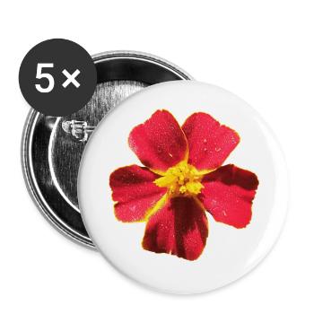 Tagetes - Buttons groß 56 mm (5er Pack) - Weiß - Vorne