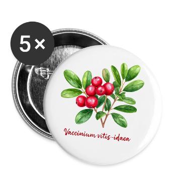 Vaccinium vitis-idaea – botanisches Aquarell - Buttons groß 56 mm (5er Pack) - Weiß - Vorne