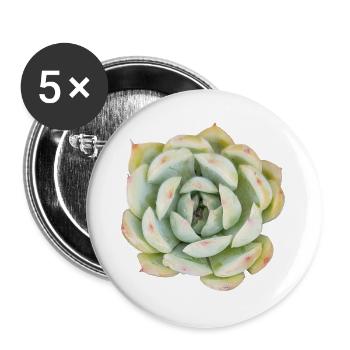 Pastel Succulent Photo - Echeveria Plant Art - Buttons large 2.2''/56 mm (5-pack) - white - Front