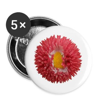 Rosa Chrysant Blume - Buttons groß 56 mm (5er Pack) - Weiß - Vorne
