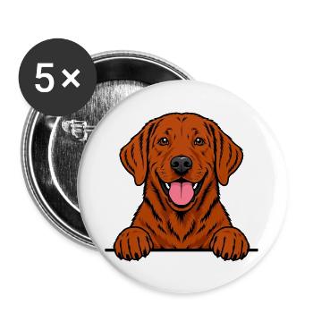 Foxred Labrador - Buttons groß 56 mm (5er Pack) - Weiß - Vorne