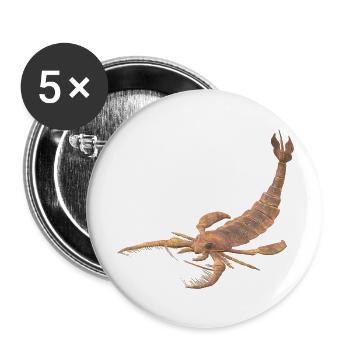 Jaekelopterus - Buttons groß 56 mm (5er Pack) - Weiß - Vorne