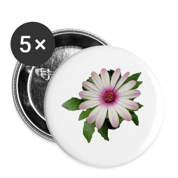 PURPLE AND WHITE CAPE BASKET FLOWER - Buttons large 2.2''/56 mm (5-pack) - white - Front