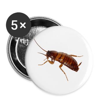 Küchenschabe Insekt Kakerlake Schabe - Buttons groß 56 mm (5er Pack) - Weiß - Vorne