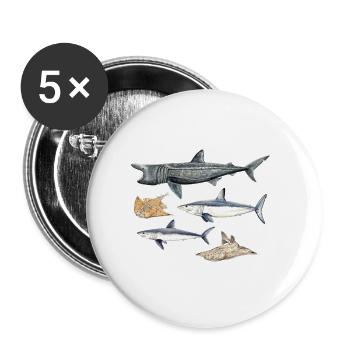 Sharks - Sharks - Requins - Buttons large 2.2''/56 mm (5-pack) - white - Front