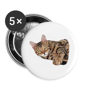 Katze liegend, Tabby Motiv, süße tees - Buttons groß 56 mm (5er Pack) - Weiß - Vorne