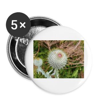 Scotch Baumwolldistel auch Wolldistel - Buttons groß 56 mm (5er Pack) - Weiß - Vorne