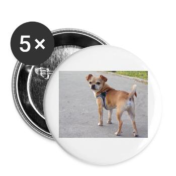 chihuahua, chien, - Lot de 5 grands badges (56 mm) - blanc - Devant