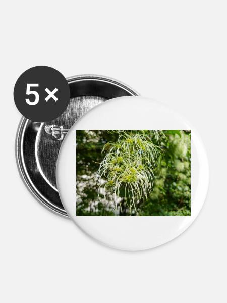 Traveller's Joy Clematis vitalba - Buttons groß 56 mm (5er Pack) - Weiß