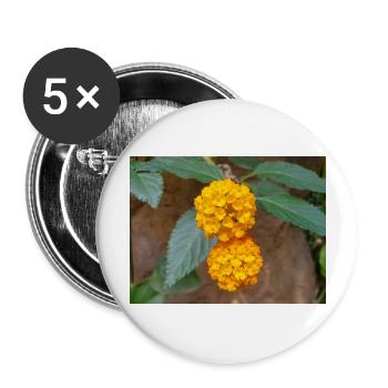 Lantana also Spanish flag Wandelröschen Lantana - Buttons large 2.2''/56 mm (5-pack) - white - Front