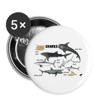 Requins du monde: baleine, maraîche, poisson-ange - Lot de 5 grands badges (56 mm) - blanc - Devant