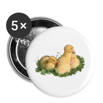 Entenküken - Buttons groß 56 mm (5er Pack) - Weiß - Vorne