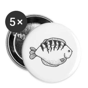 Spiral fish with dorsal stripes - Buttons large 2.2''/56 mm (5-pack) - white - Front