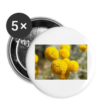 Lavender cotton or Grey santolina Heiligenkraut - Buttons groß 56 mm (5er Pack) - Weiß - Vorne