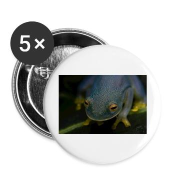 Cochranella granulosa - Glassfrog - Buttons large 2.2''/56 mm (5-pack) - white - Front