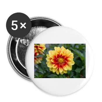 Dahlia (in german Dahlie) Dahlia - Buttons groß 56 mm (5er Pack) - Weiß - Vorne