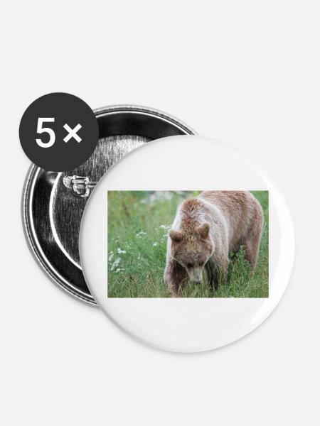 Braunbär Ursus arctos - Buttons groß 56 mm (5er Pack) - Weiß