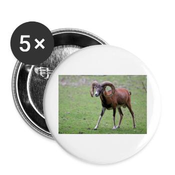 Mouflon européen Europäischer Mufflon - Lot de 5 grands badges (56 mm) - blanc - Devant