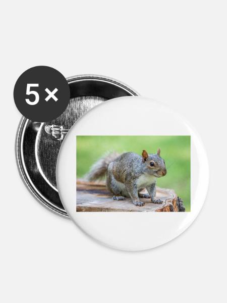 Grauhörnchen Sciurus carolinensis - Buttons groß 56 mm (5er Pack) - Weiß