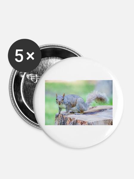 Grauhörnchen Sciurus carolinensis - Buttons groß 56 mm (5er Pack) - Weiß