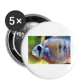 Bolivianischer Schmetterlingsbuntbarsch - Buttons groß 56 mm (5er Pack) - Weiß - Vorne