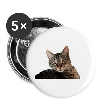 Katze Kätzchen - Buttons groß 56 mm (5er Pack) - Weiß - Vorne