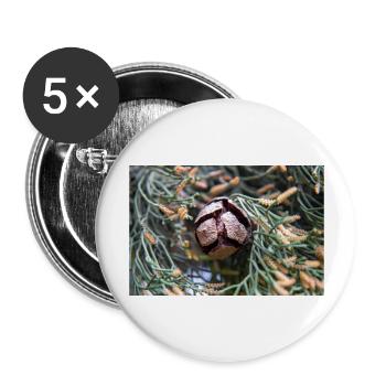Cyprès d’Italie aussi cyprès de Méditerranée - Lot de 5 grands badges (56 mm) - blanc - Devant