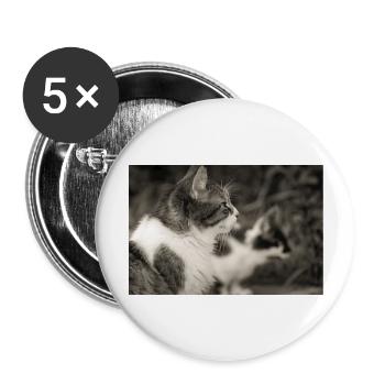 portrait de chats - Lot de 5 grands badges (56 mm) - blanc - Devant