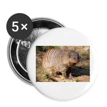 Gebänderte Manguste oder Zebramanguste Zebramanguste - Buttons groß 56 mm (5er Pack) - Weiß - Vorne