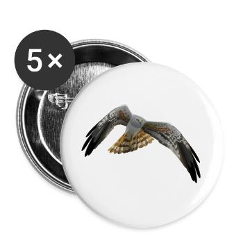 Wiesenweihe Circus Pygargus - Buttons groß 56 mm (5er Pack) - Weiß - Vorne