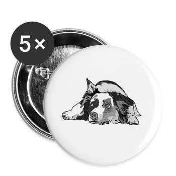 Australian Shepherd - Buttons groß 56 mm (5er Pack) - Weiß - Vorne