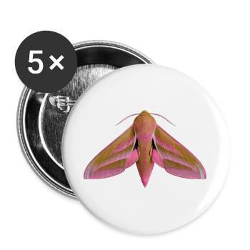 Elefantenfalkenfalter Deilephila elpenor - Buttons groß 56 mm (5er Pack) - Weiß - Vorne