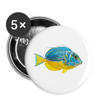 Vivid Parrotfish Burst - Buttons groß 56 mm (5er Pack) - Weiß - Vorne