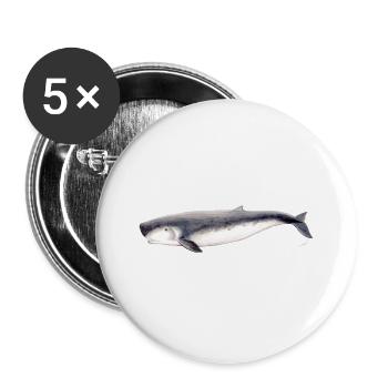 sperme pygmée cachalot pygmée baleine Kogia breviceps - Lot de 5 grands badges (56 mm) - blanc - Devant